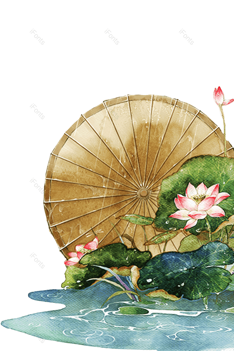 夏至图片,荷花元素,夏天PNG,花卉免抠素材
